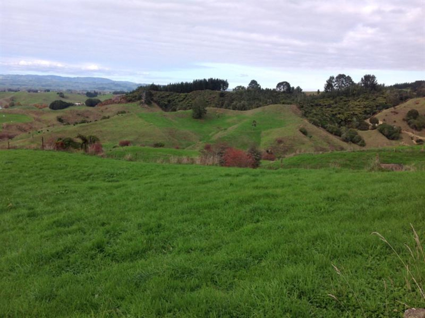 131 Honikiwi Road, OTOROHANGA, Otorohanga District