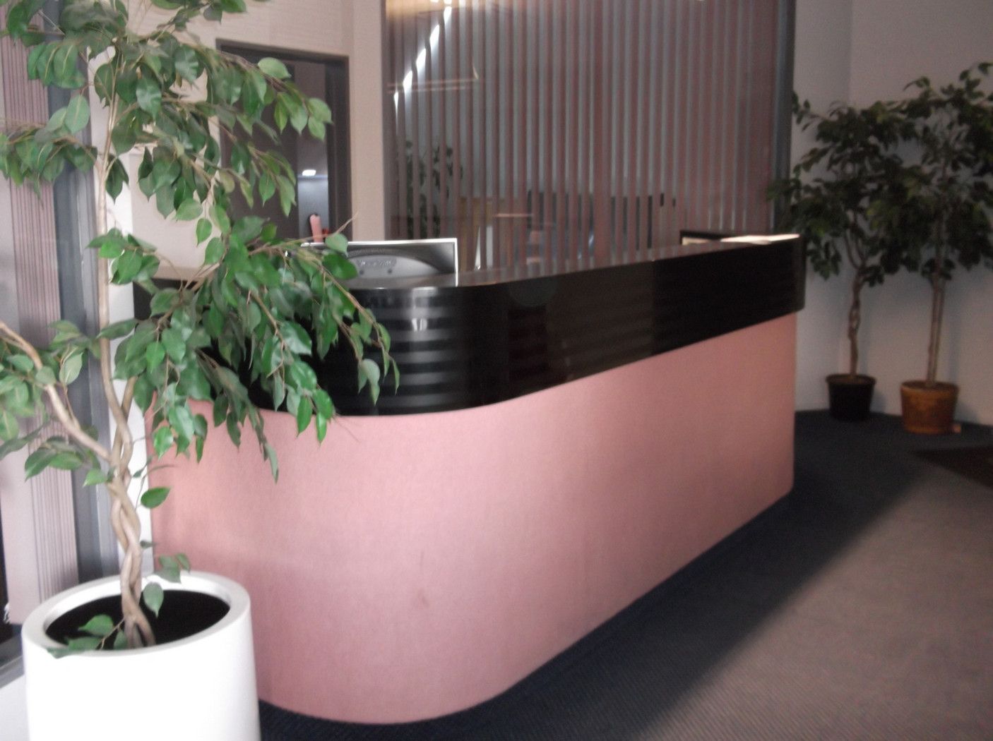 19 Yarrow Street, INVERCARGILL CENTRAL, Invercargill