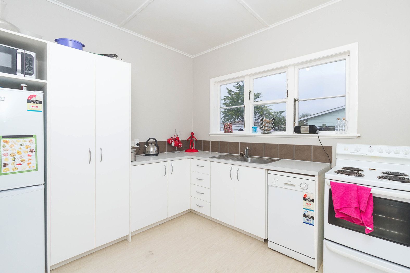 5 Haig Street, WATERLOO, Lower Hutt City
