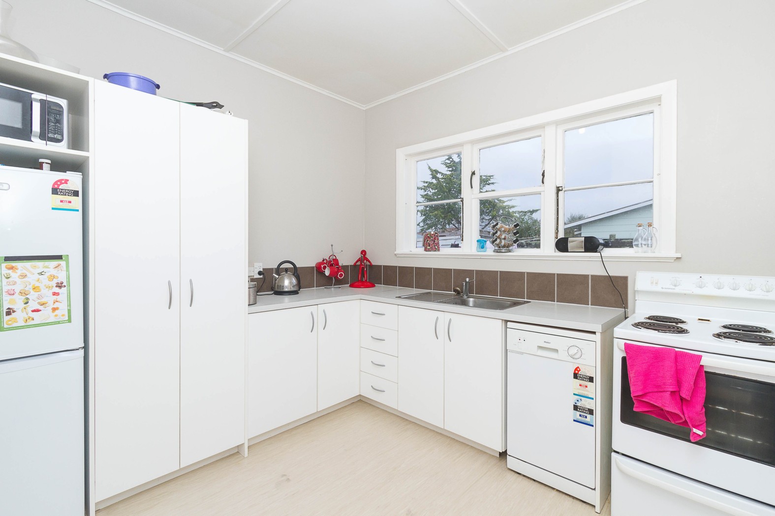 5 Haig Street, WATERLOO, Lower Hutt City
