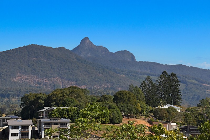 24 Oakbank Terrace, MURWILLUMBAH, NSW 2484