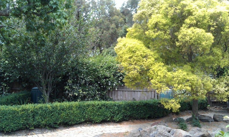 20 Abbotsford Avenue, MALVERN EAST, VIC 3145