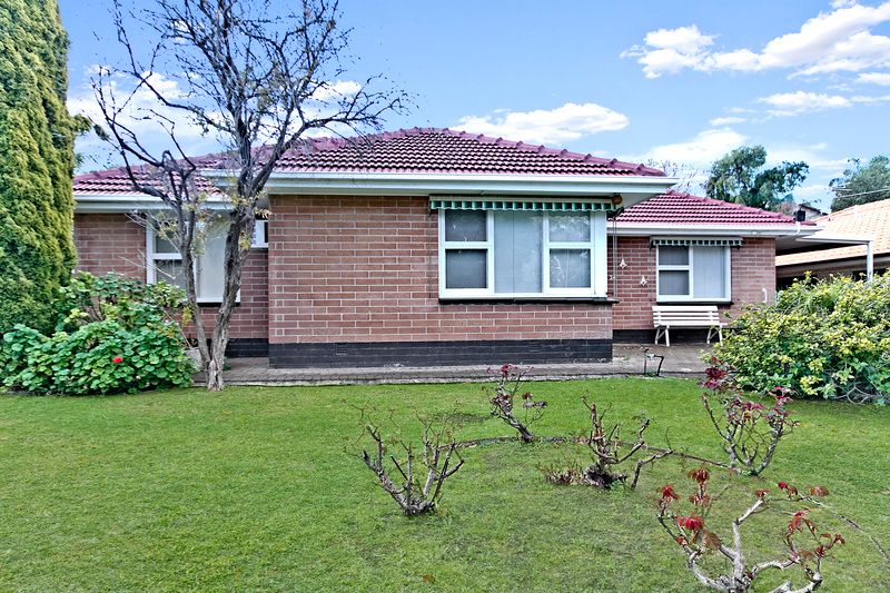 24 Carnarvon Avenue, REDWOOD PARK SA 5097