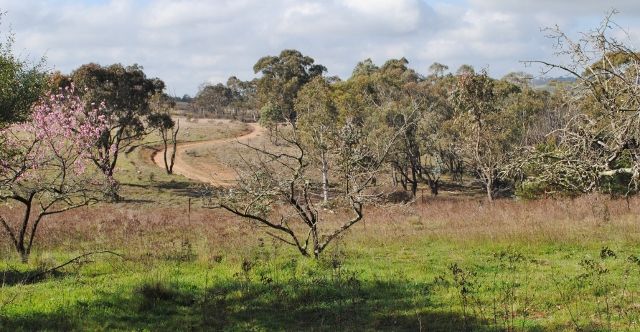 1224 and 1238 Brayton  Road, BIG HILL, NSW 2579