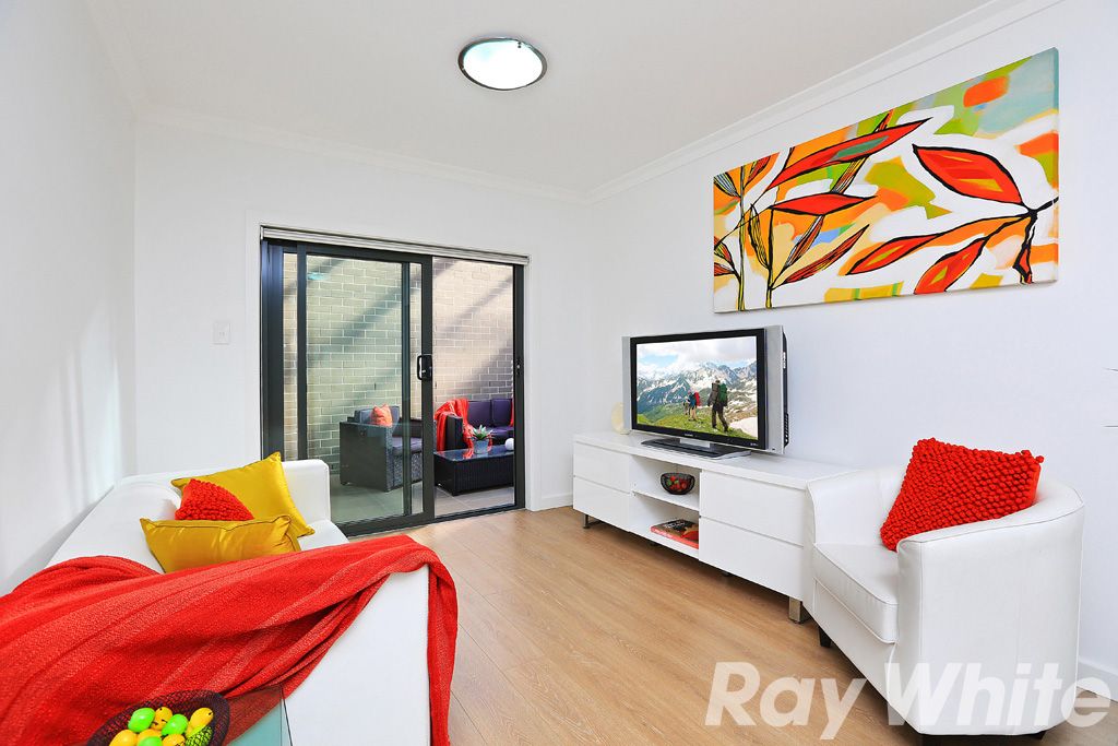 113 Livingstone Road, MARRICKVILLE NSW 2204