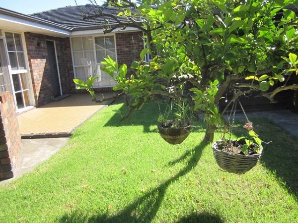 90 Jacks Avenue, DINGLEY VILLAGE, VIC 3172