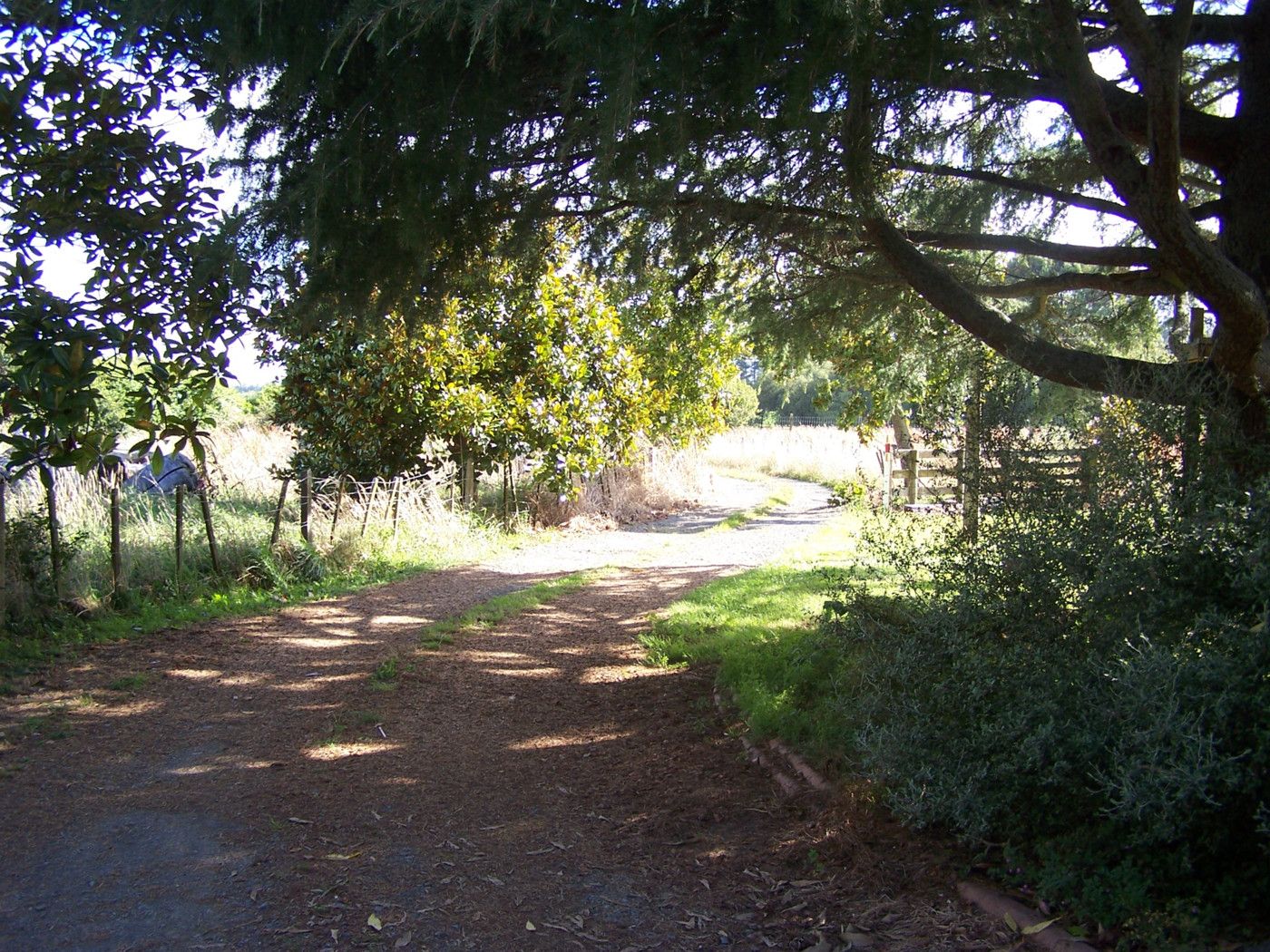 91 Oakshott Road, TE AWAMUTU, Waipa District