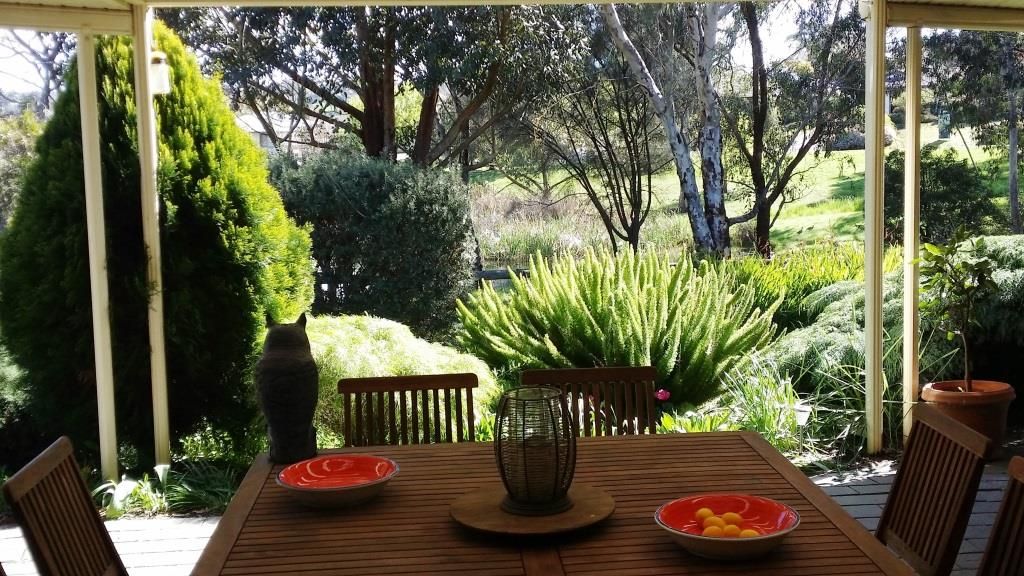17 Edson Crescent, LITTLEHAMPTON SA 5250
