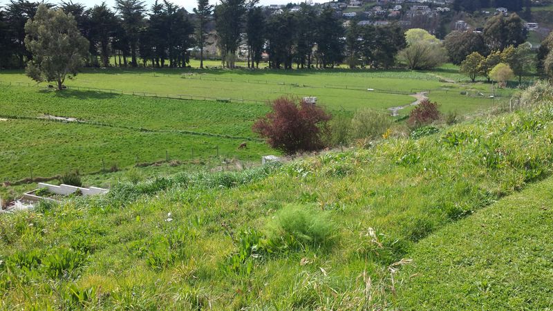 What a position-What a price! - Westmorland