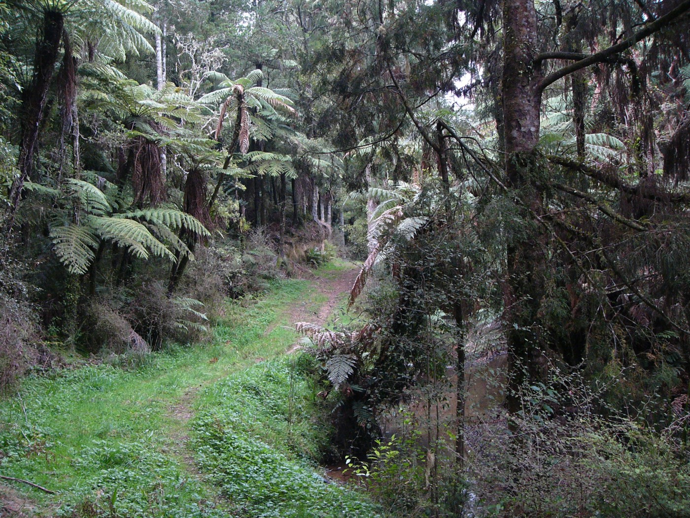 599 Te Puroa Road, Ngaruawahia, Waikato District
