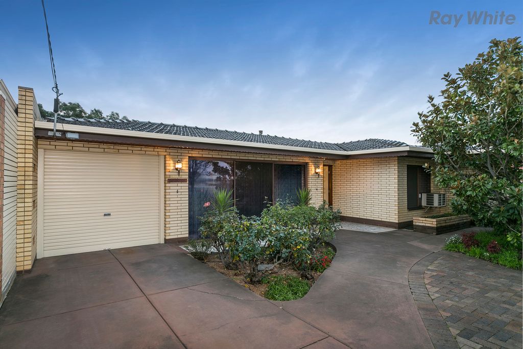 316 Marion Road, NETLEY, SA 5037