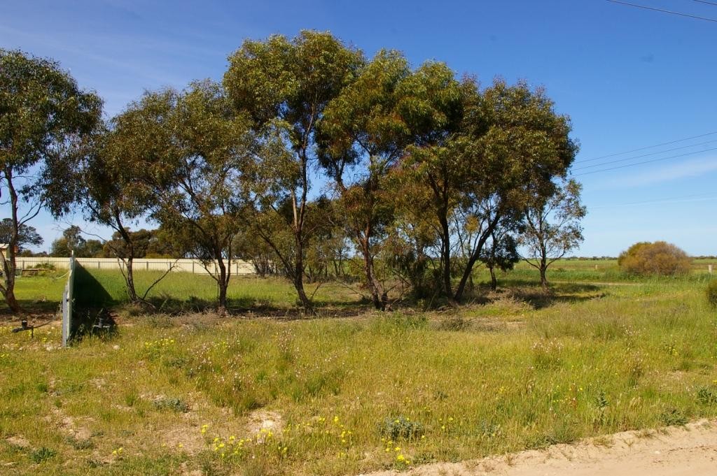 42 (Lot 15) Haynes Street, KADINA, SA 5554