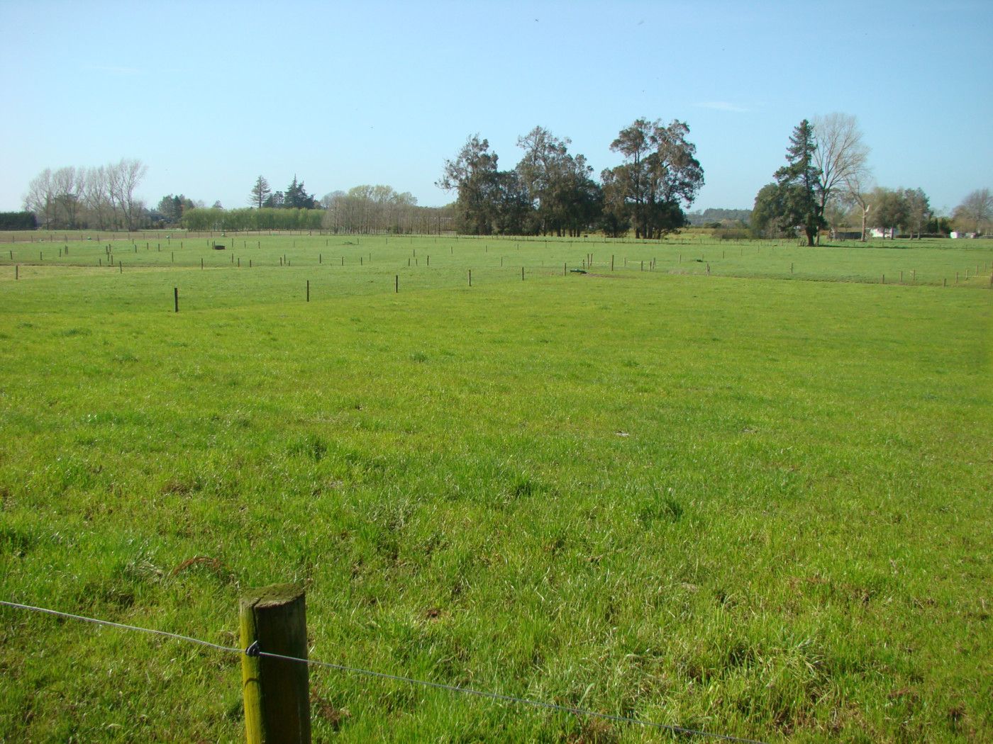 503b Gordonton Road, HAMILTON, Hamilton City