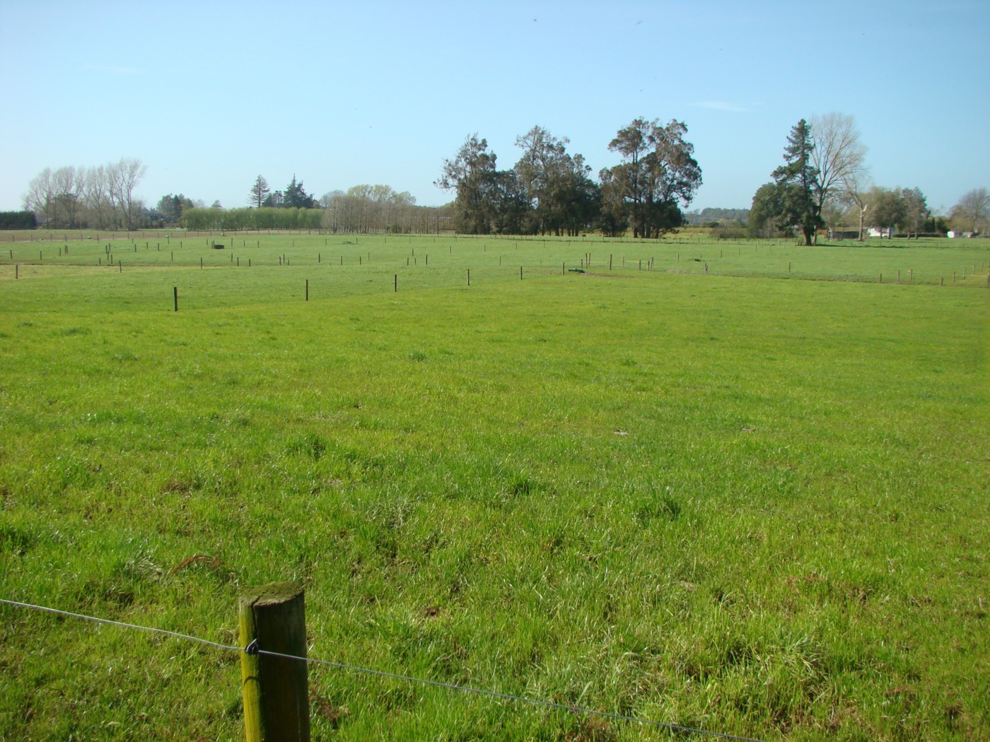 503b Gordonton Road, HAMILTON, Hamilton City