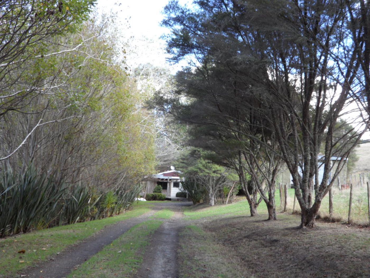 KAUKAPAKAPA, Rodney