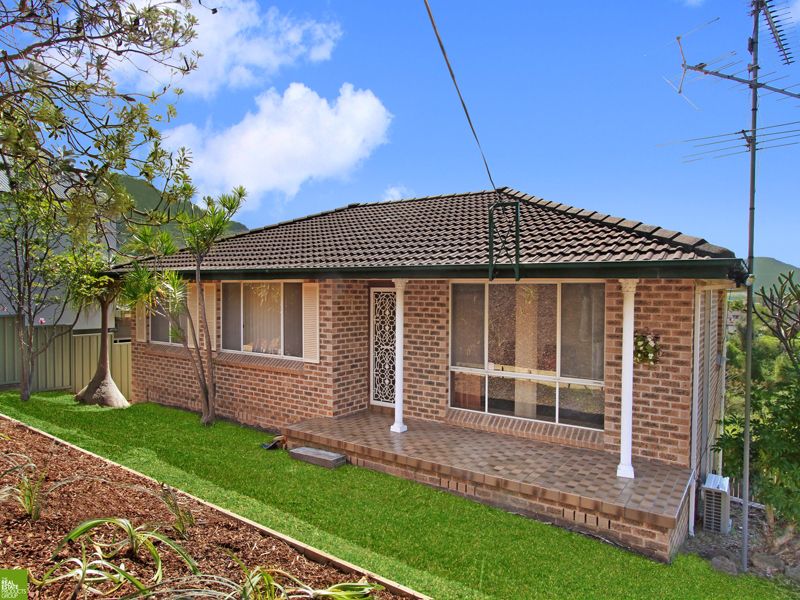 52 Iola Avenue, FARMBOROUGH HEIGHTS NSW 2526