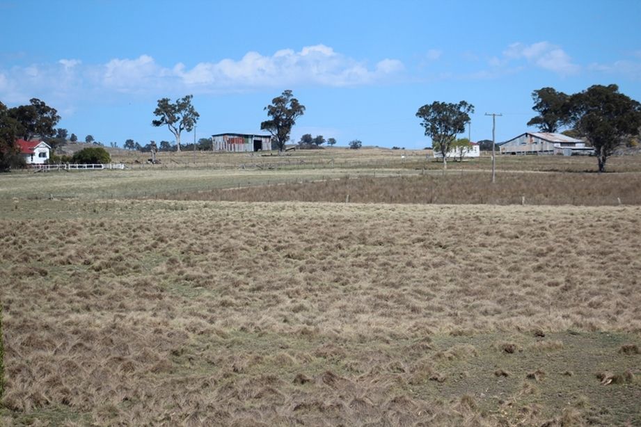 924A Kildare Road, Tenterfield, NSW Rural Rural Livestock Property Sold