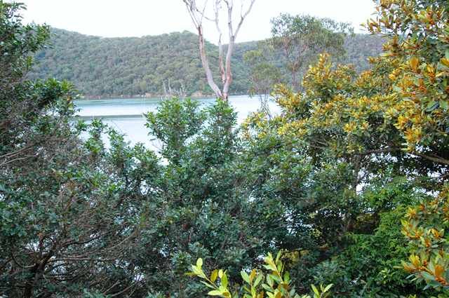 3 Milloo Parade, CHEERO POINT, NSW 2083