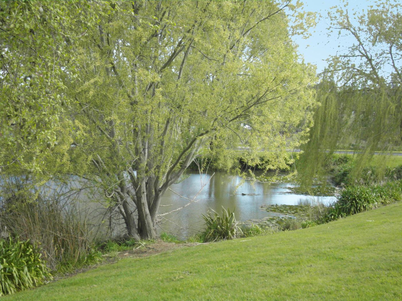 5a Pandora Rise, Huntly, Waikato District