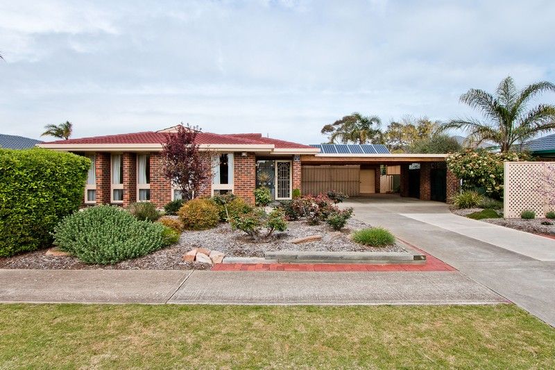 4 Sierra Avenue, GRANGE, SA 5022