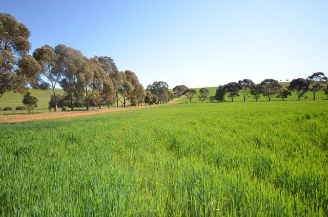 Penshurst Road, BOOBOROWIE, SA 5417