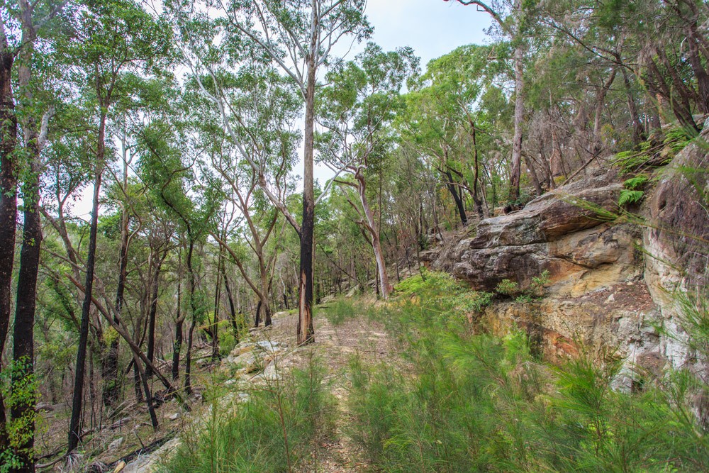 80a Manor Road, Hornsby, NSW 2077
