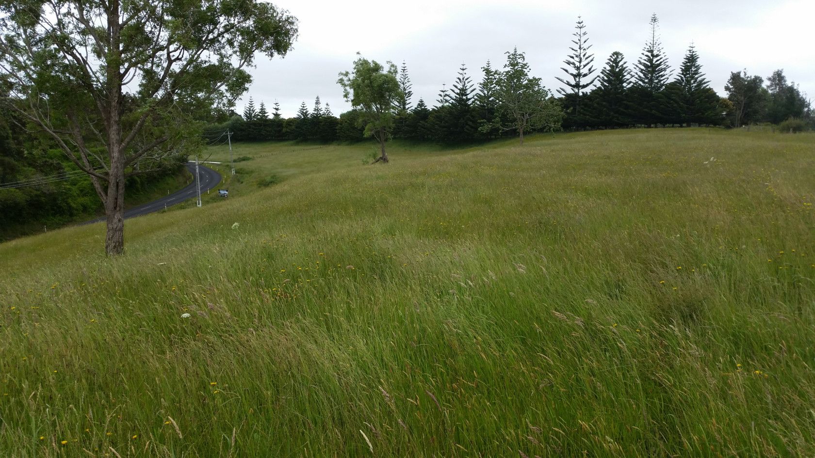 Pukekawa, Waikato District