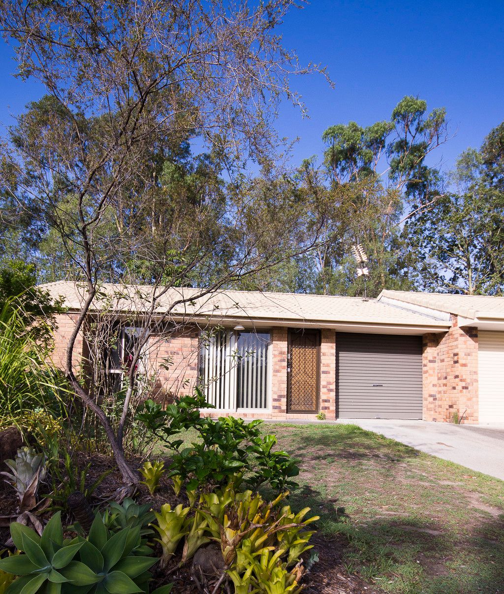 3 Wayne Place, Oxenford QLD 4210