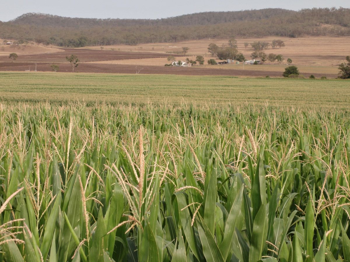 CLINTONVALE, QLD 4370