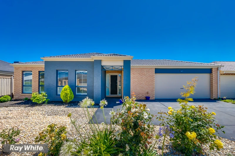 6 swordgrass Avenue, Tarneit, VIC 3029