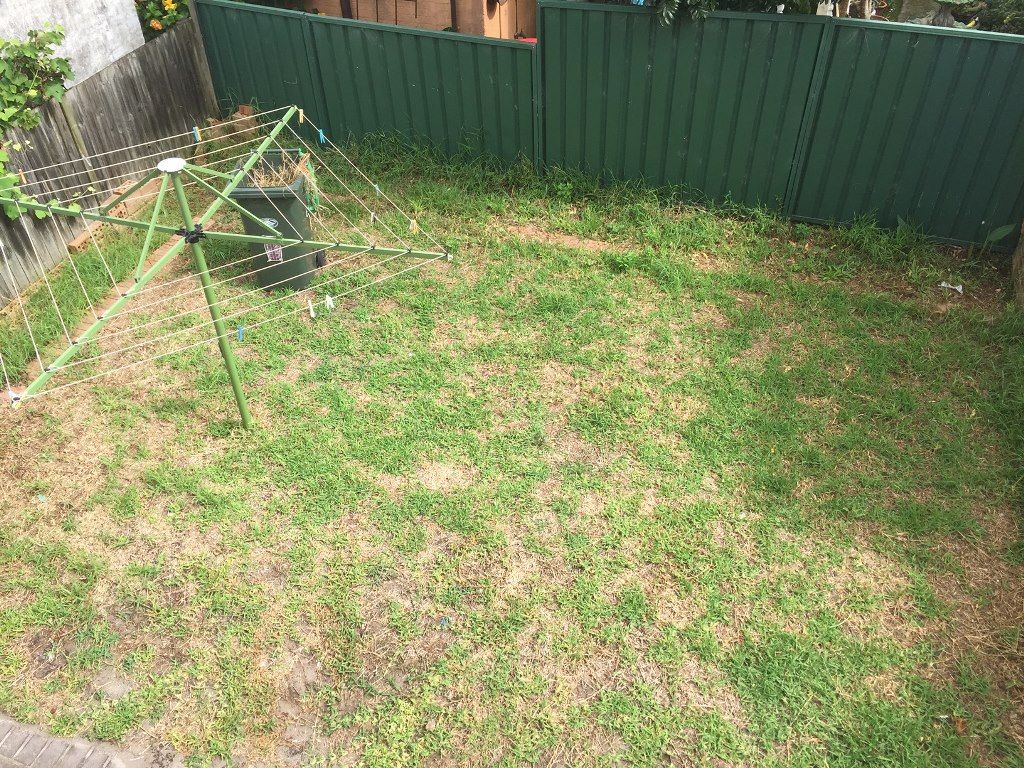 8 Strachan Street, Kingsford, NSW 2032