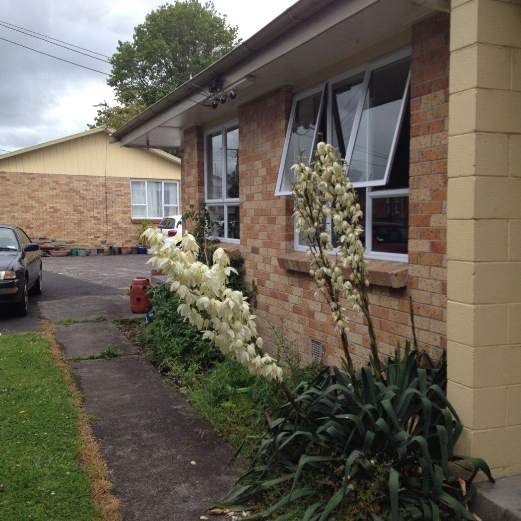 3/13 Cameron Road, Hillcrest, Hamilton City