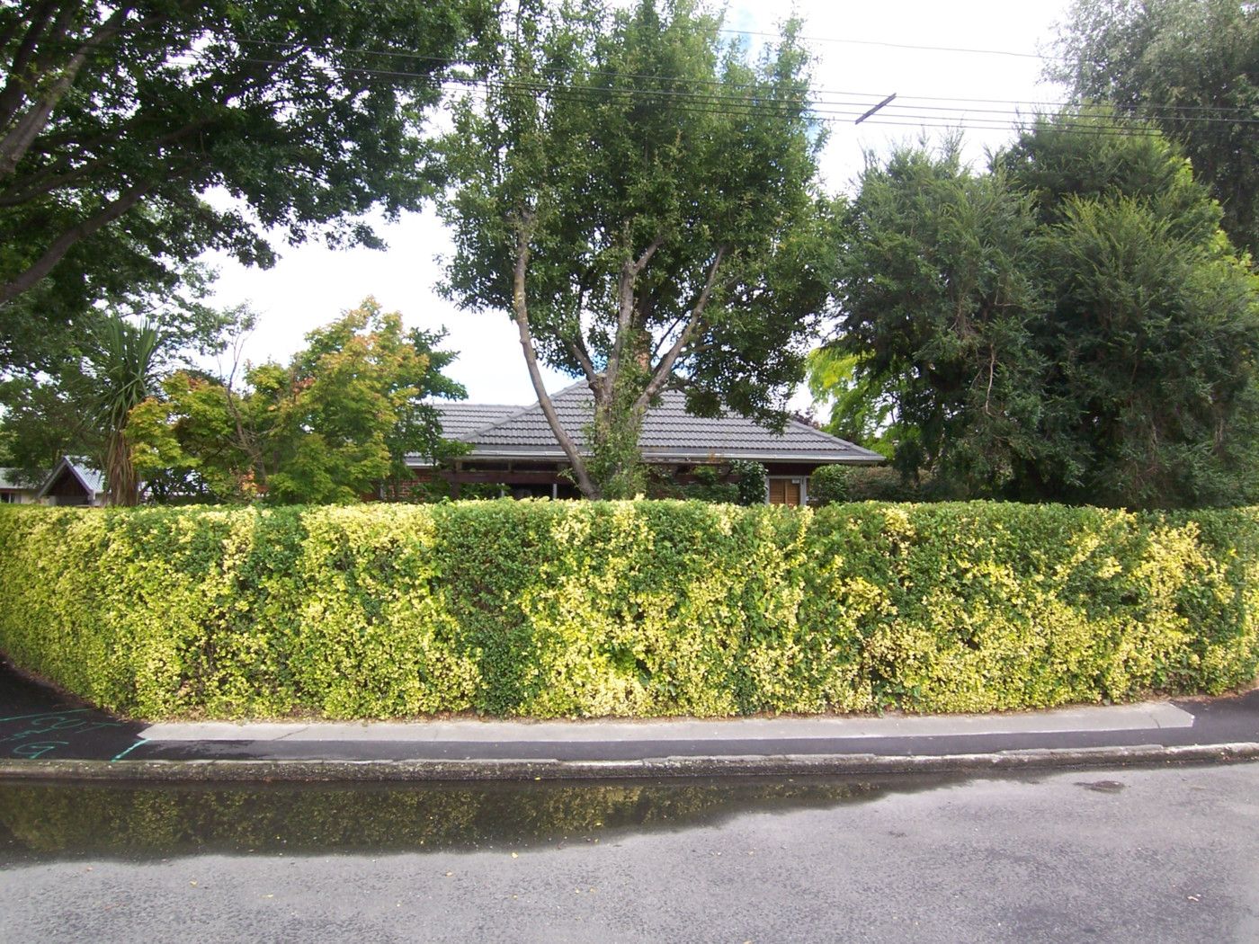 59 Guildford Street, Burnside, Christchurch City