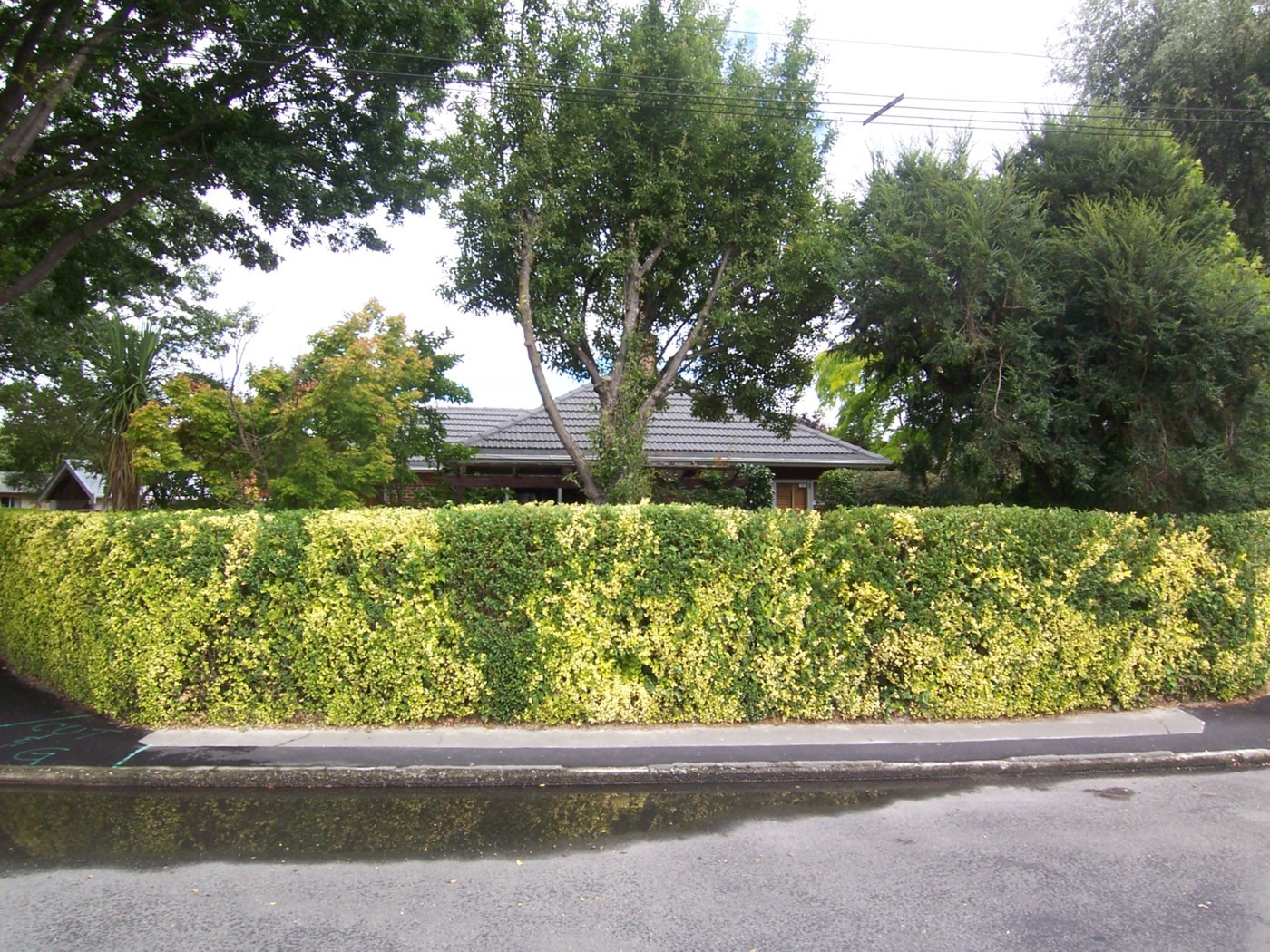 59 Guildford Street, Burnside, Christchurch City