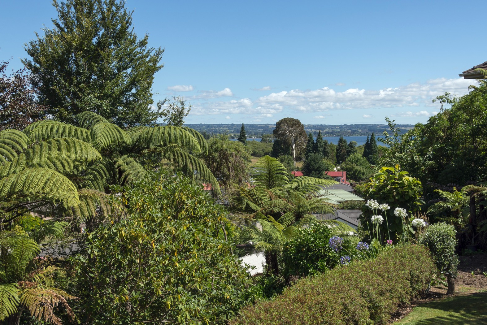 7 Rika Place, Kawaha Point, Rotorua District