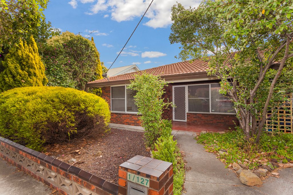 127 Minerva Road, Herne Hill VIC 3218