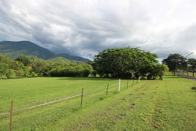 14 Licence Street, Goldsborough, QLD 4865