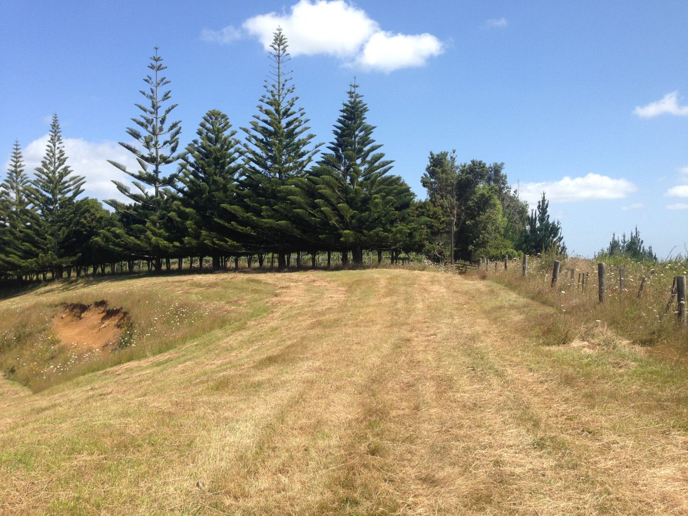 Pukekawa, Waikato District