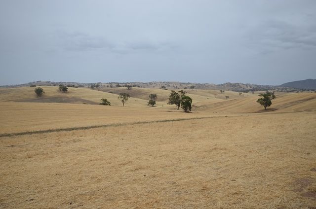 Brooklyn Road, Melrose, SA 5483
