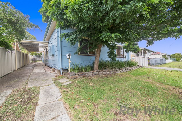 32 Albert Street, North Lambton, NSW 2299