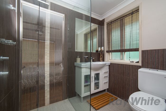 20 Basswood Crescent, Fletcher, NSW 2287