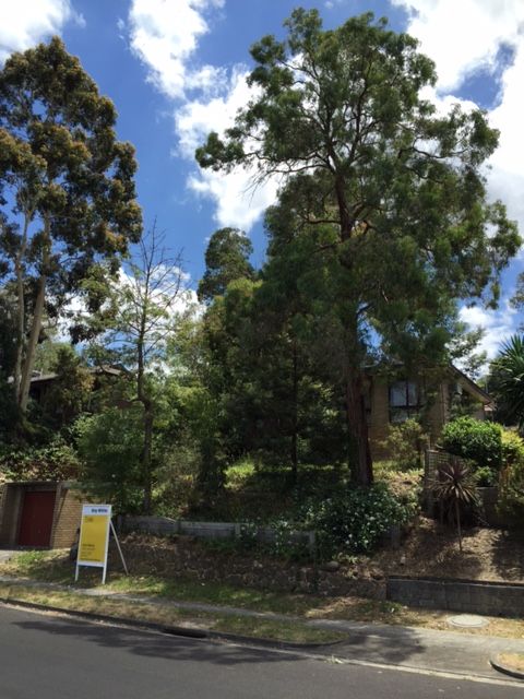 44 Avandina Crescent, Greensborough, VIC 3088