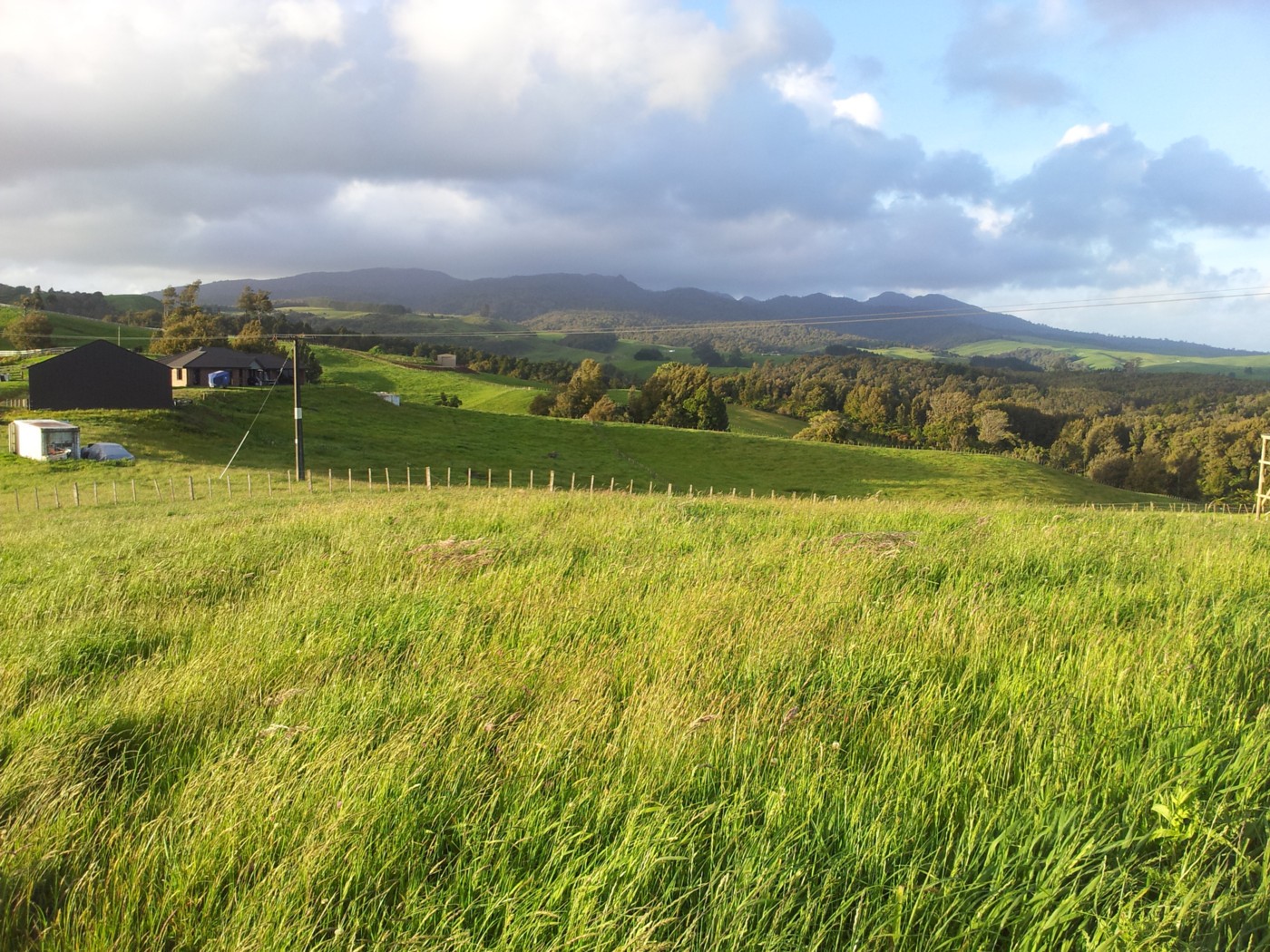 Lot 17 Pekanui Road, Pirongia, Waipa District