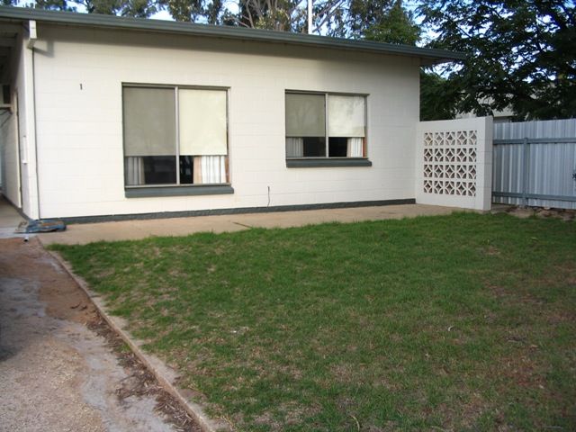 1 and 2 / 42 Queen Elizabeth Drive, Barmera, SA 5345