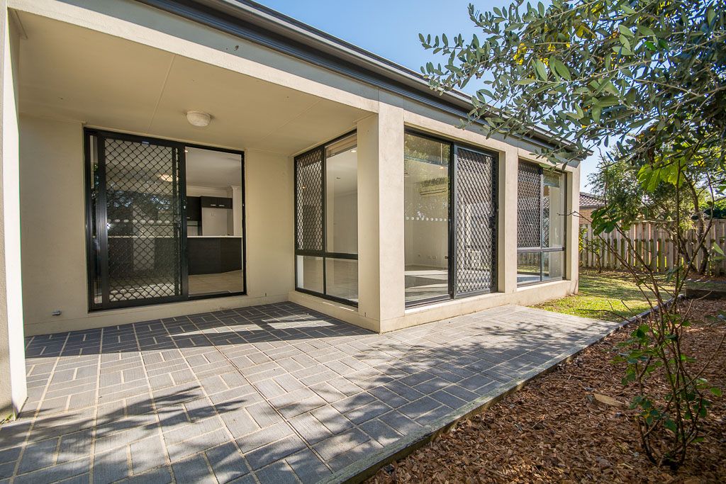 23 Cyperus Crescent, Carseldine QLD 4034