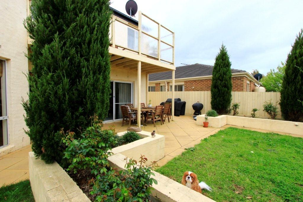 7 Lipizzaner Court, HIGHTON, VIC 3216