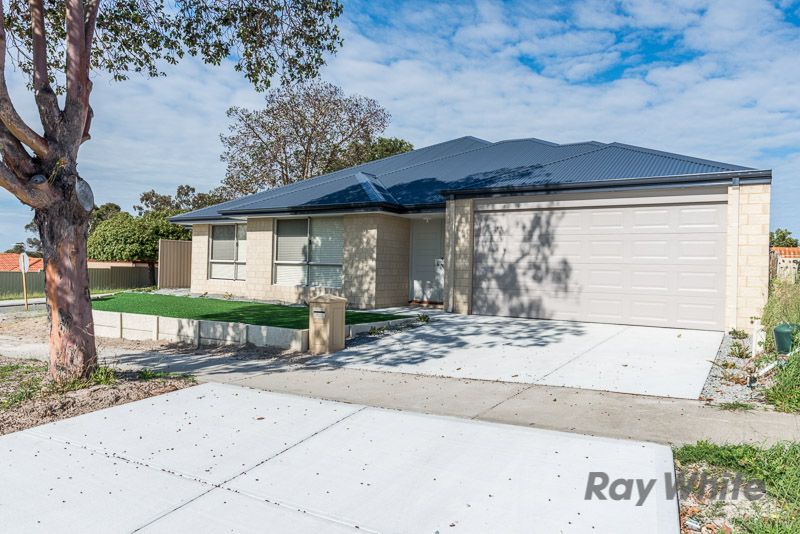 81 Chapman Road, Bentley, WA 6102