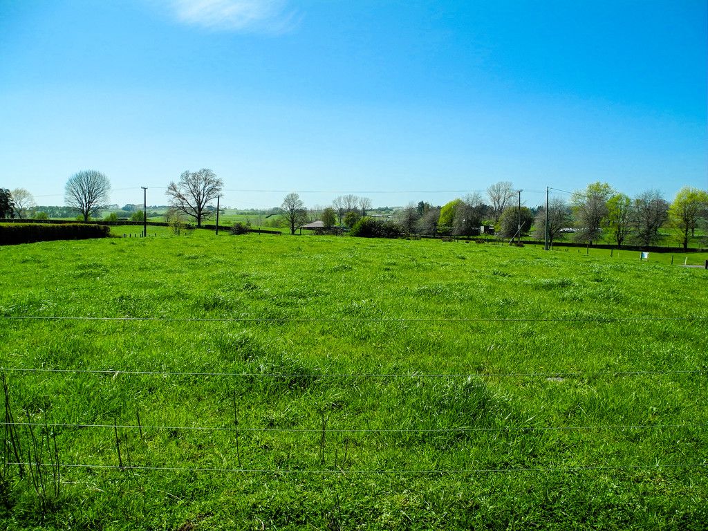 344 Waikeria Road, Te Awamutu, Waipa District