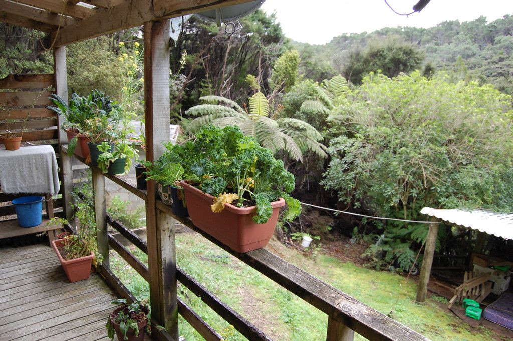639 Whangaparapara Road, Great Barrier Island, Great Barrier Island