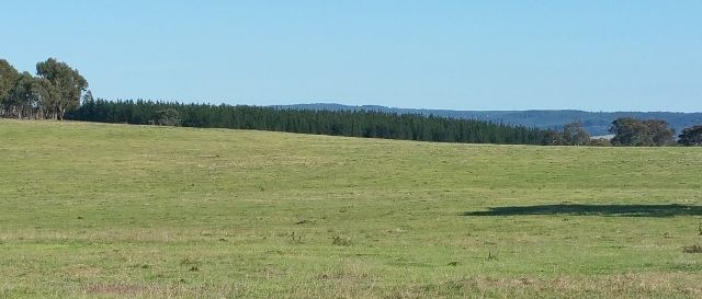 Marulan, NSW 2579